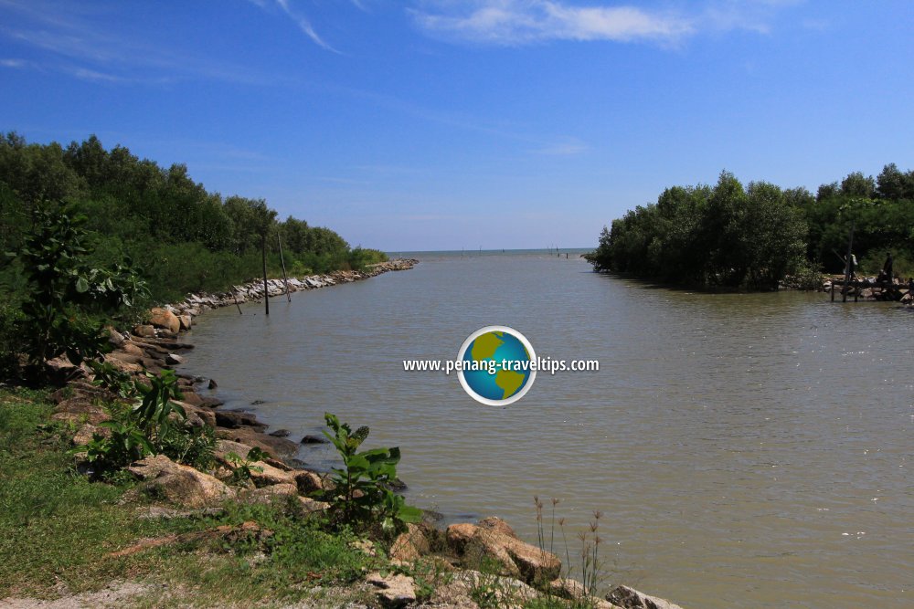 The estuary of Sungai Burong