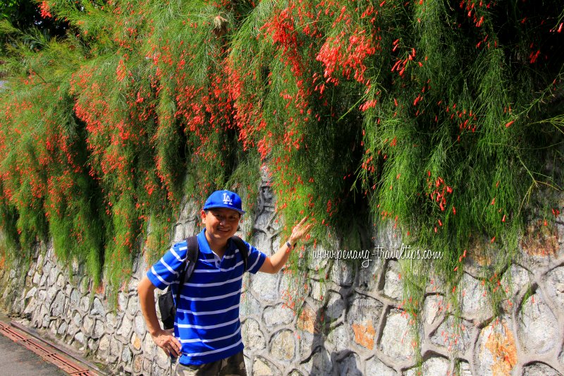 The landscaping at Penang Hill Lower Station