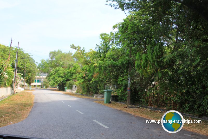 Lorong Bunga Kaca Piring, Tanjung Bungah