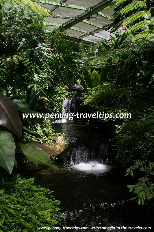 Penang Butterfly Farm