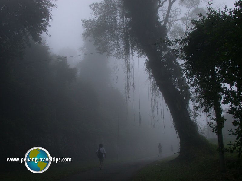 Misty Bukit Bendera