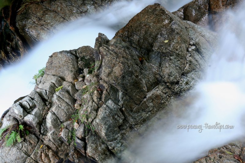 Misty waters, Botanic Gardens Waterfall