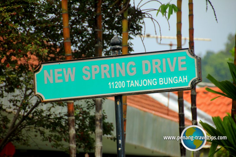 New Spring Drive
