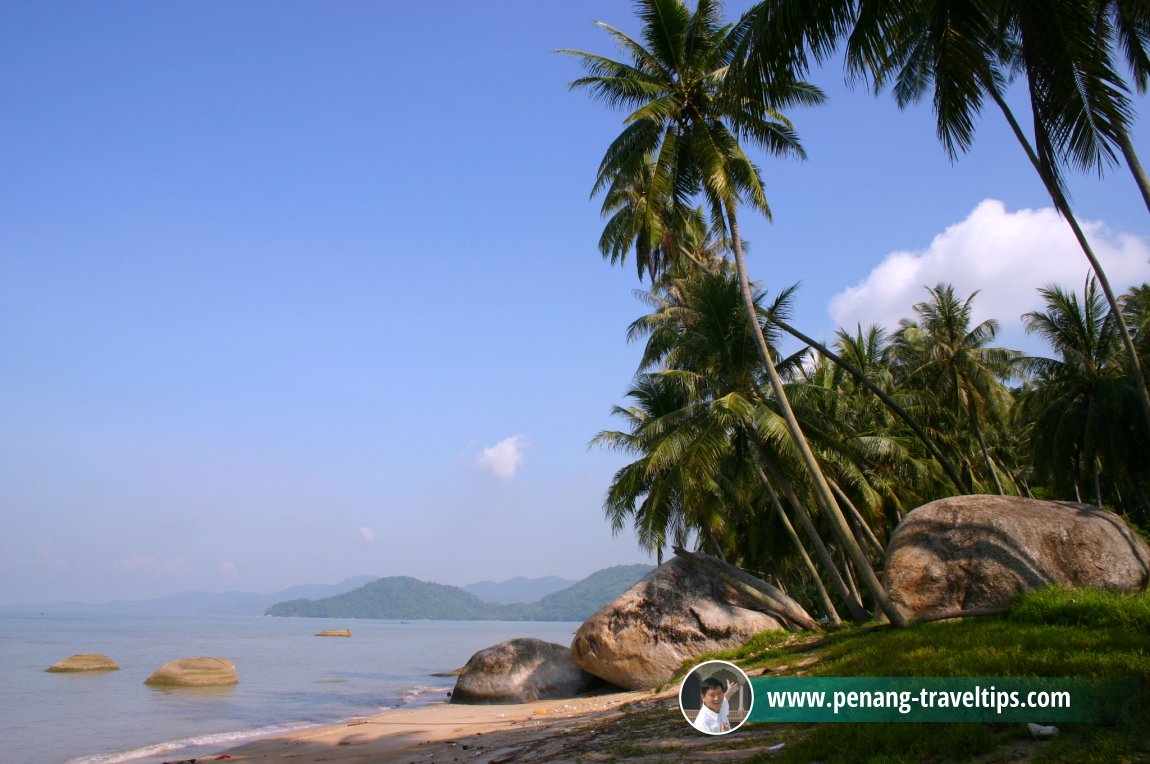 Pantai Ah Soon, Permatang Damar Laut