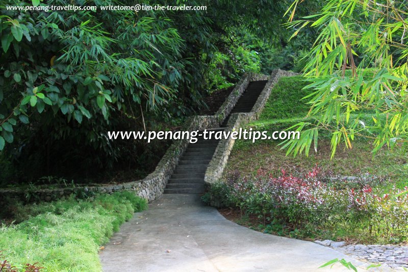 Path at the Bambusetum