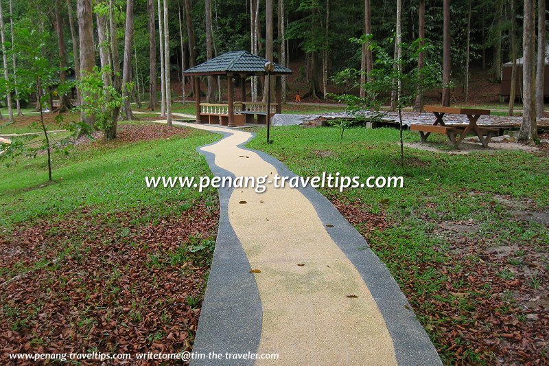 Path in the Bukit Panchor State Park