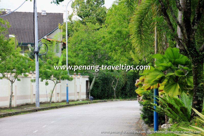 Peirce Lane, George Town, Penang