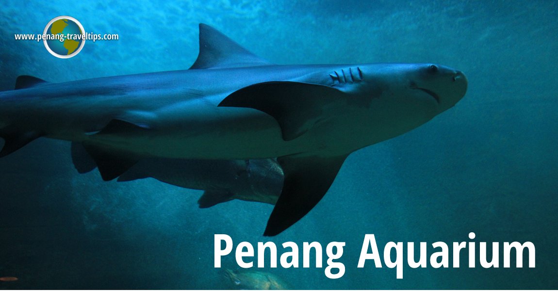 Penang Aquarium