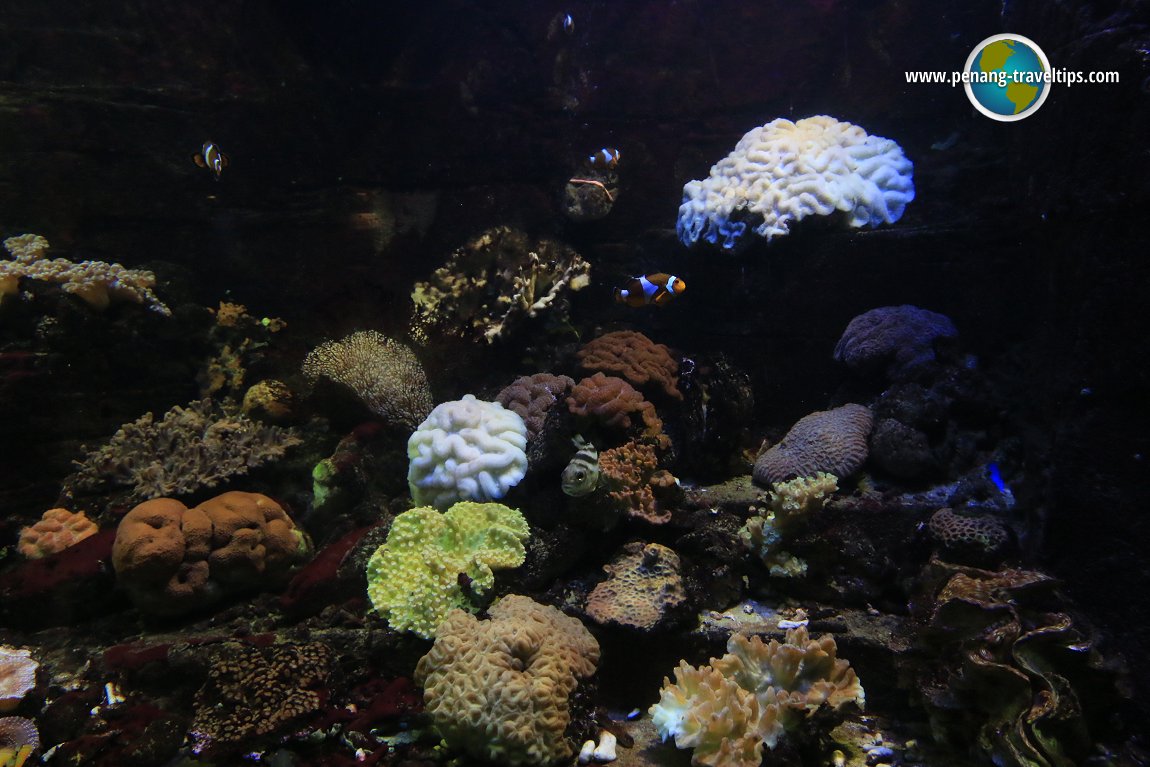 Penang Aquarium