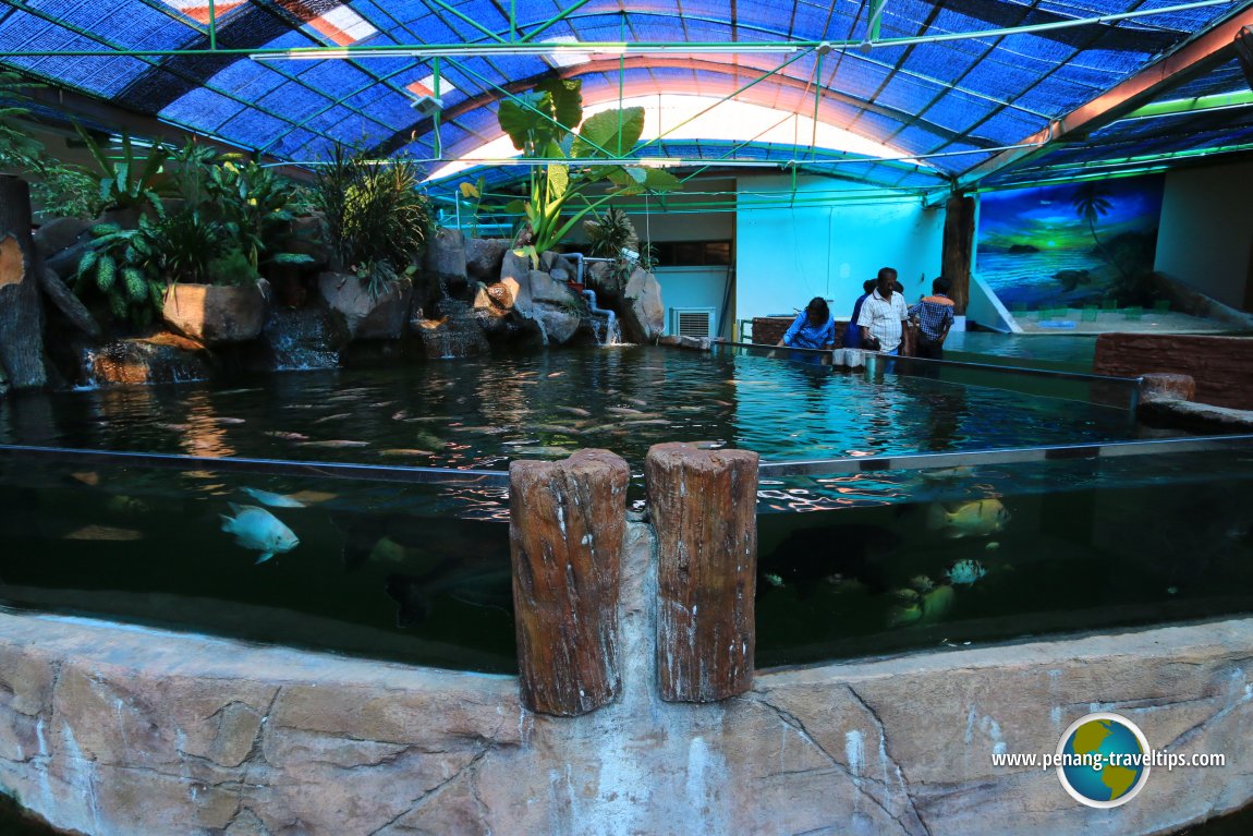 Aquarium batu maung