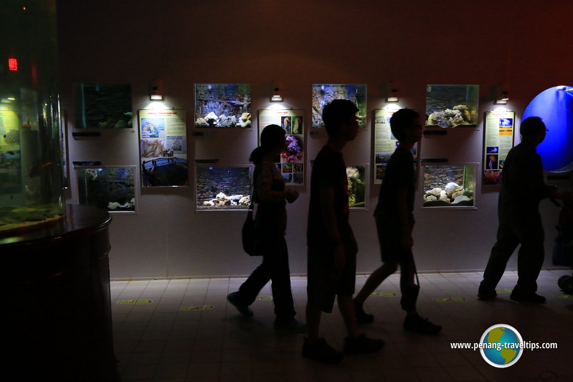 Penang Aquarium