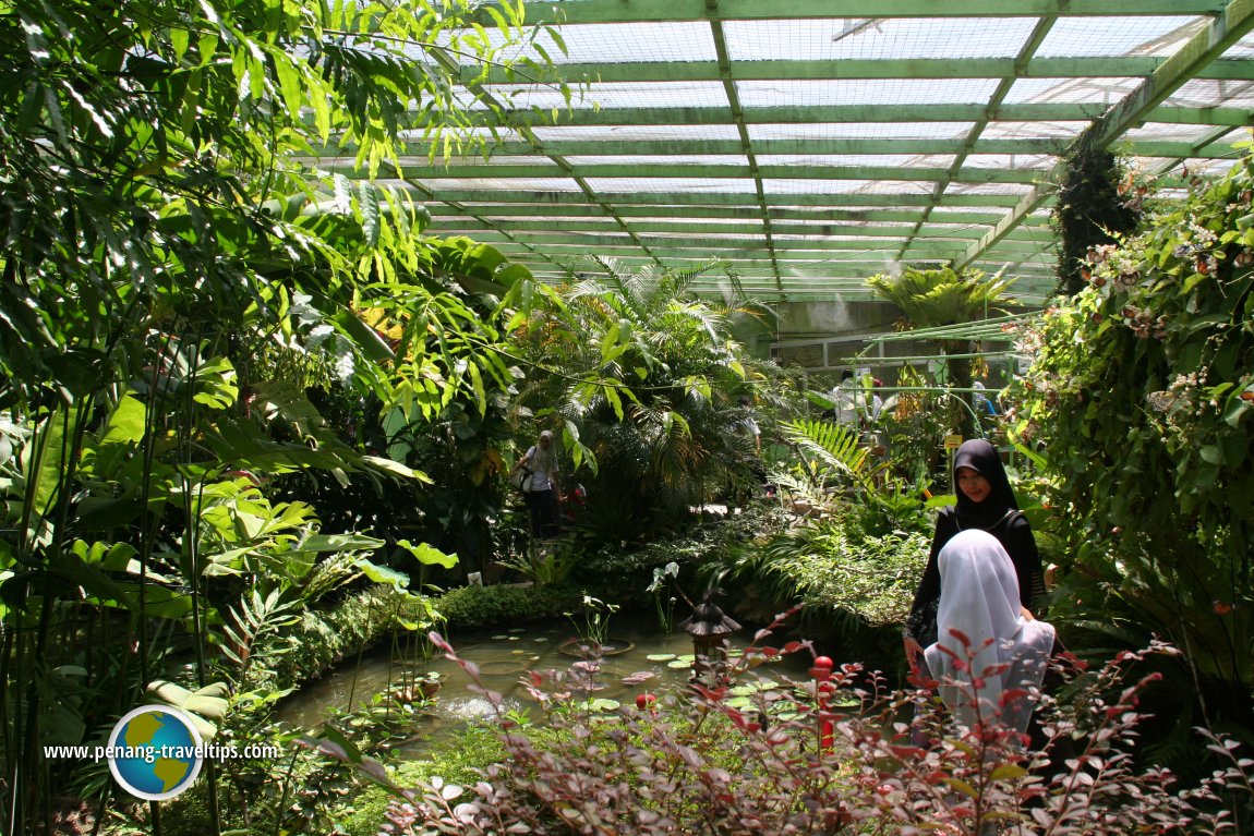 Penang Butterfly Farm