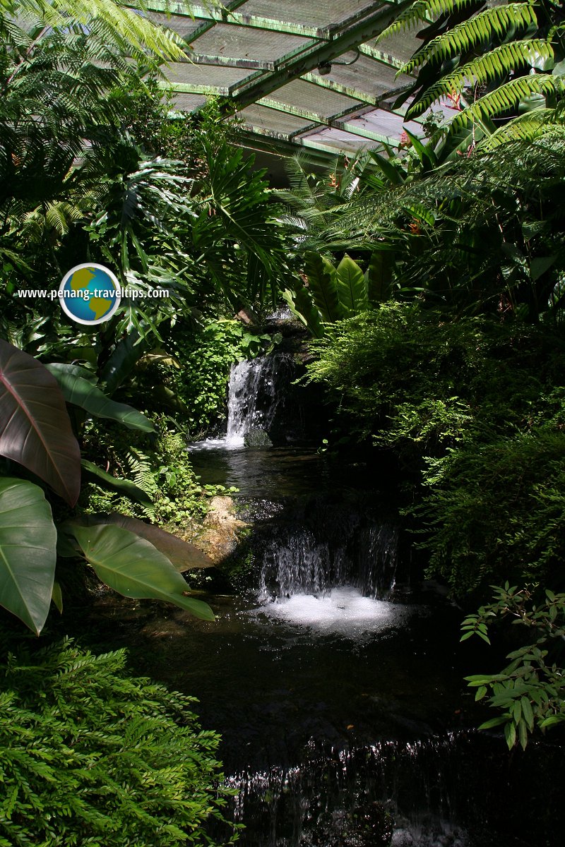 Penang Butterfly Farm