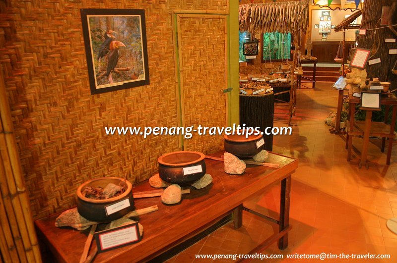 Exhibits at the Penang Forestry Museum