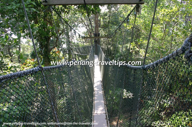 Penang Hill Canopy Walk