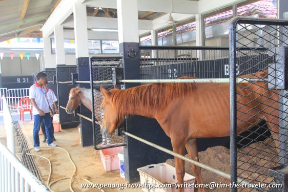 Penang Turf Club stable