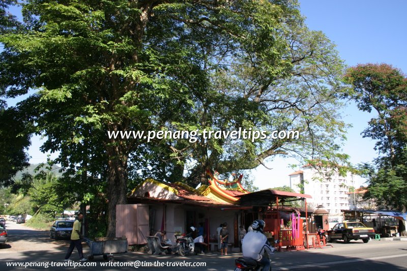 Perak Road Tua Pek Kong Temple