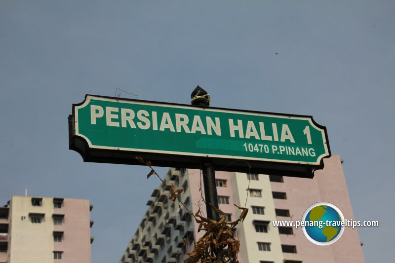 Persiaran Halia 1 road sign