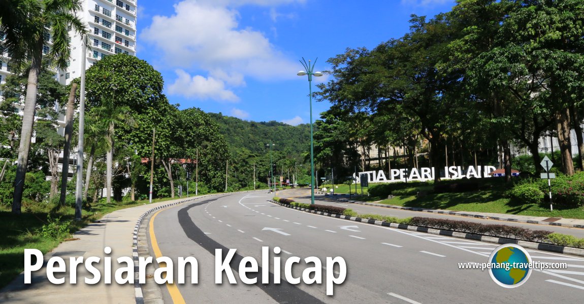 Persiaran Kelicap, Sungai Ara