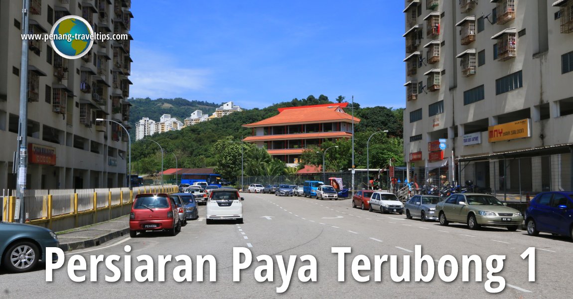 Persiaran Paya Terubong 1, Relau