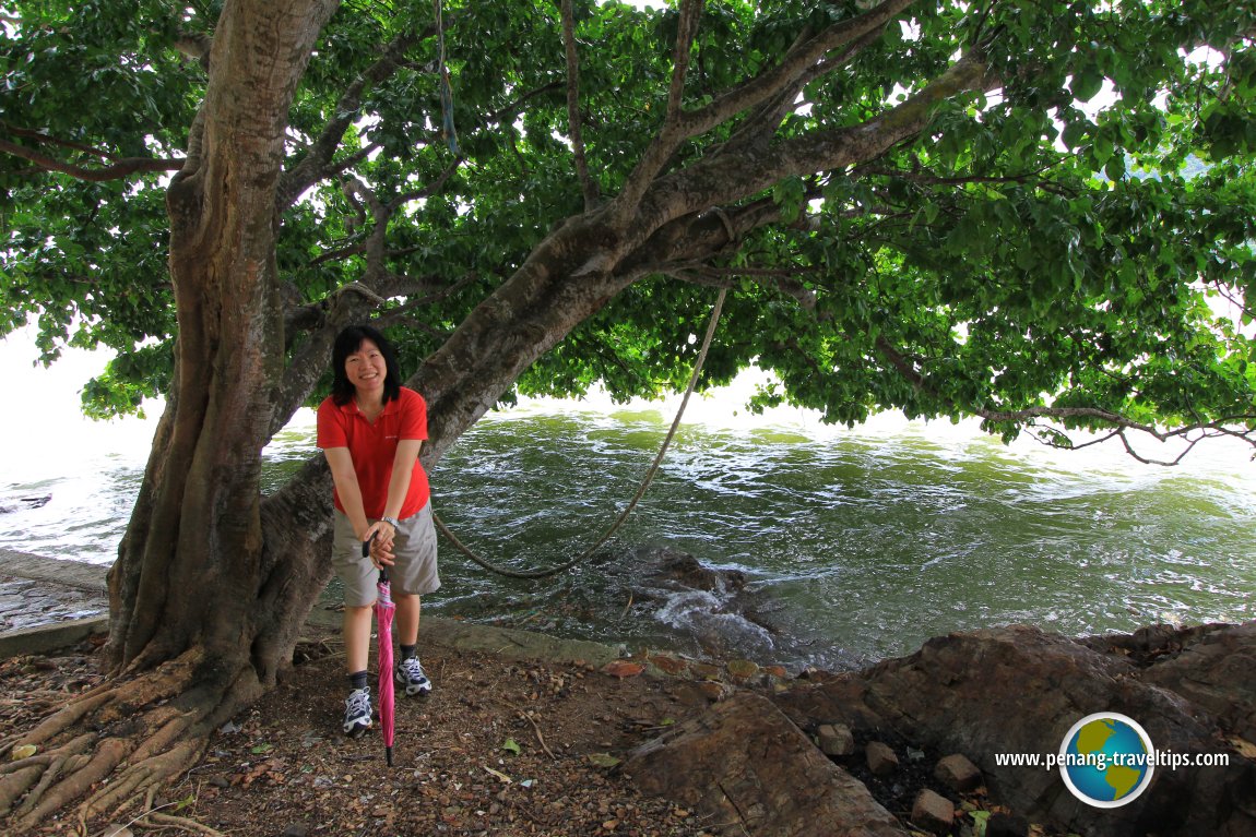 Goh Chooi Yoke in Pulau Aman