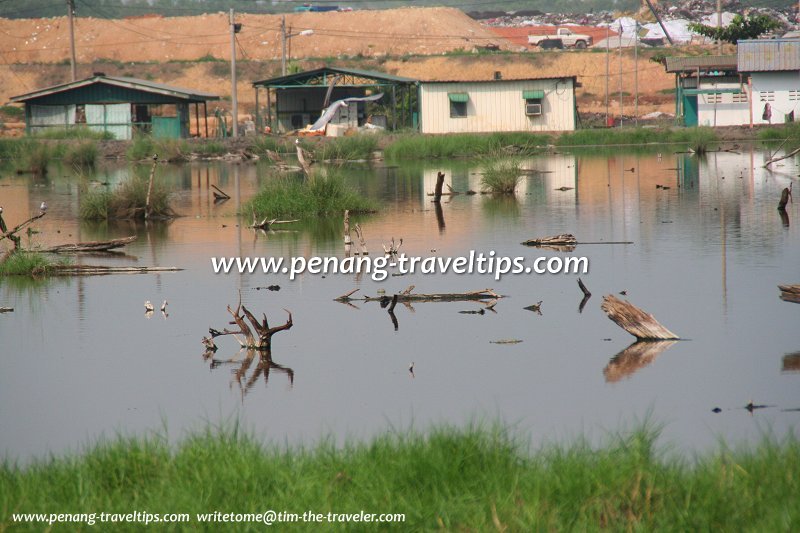 Pulau Burung landfill