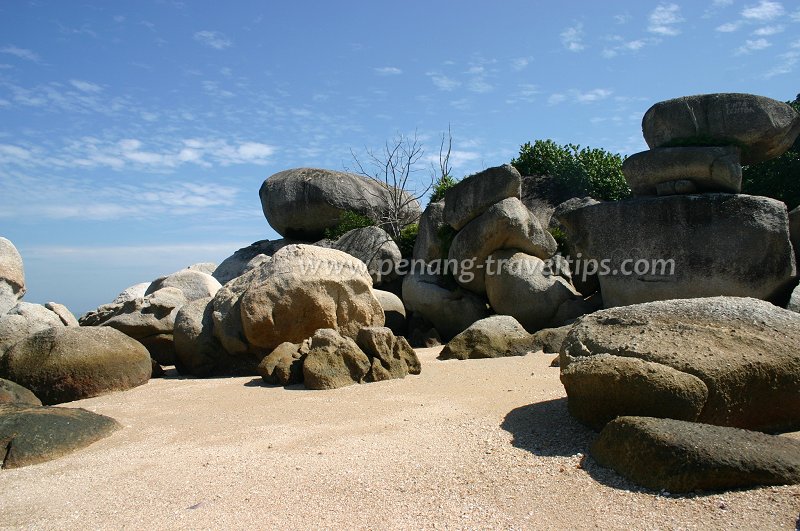 Pulau Tikus island