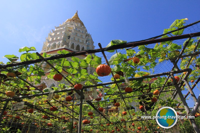 Pumpkin garden at Kek Lok Si