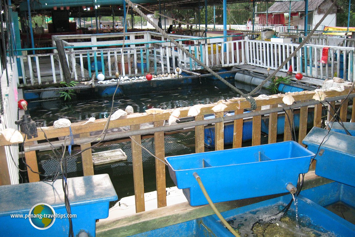 Restoran Floating Seafood Paradise