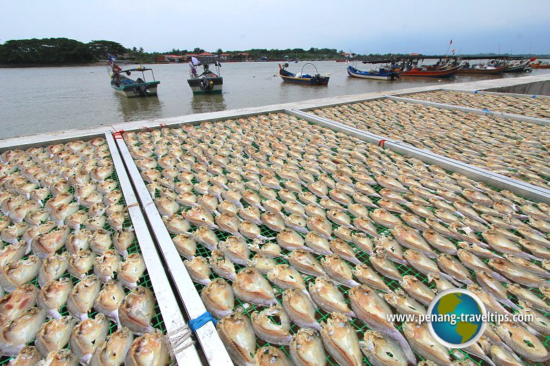 Kuala Muda Fishermen's Market