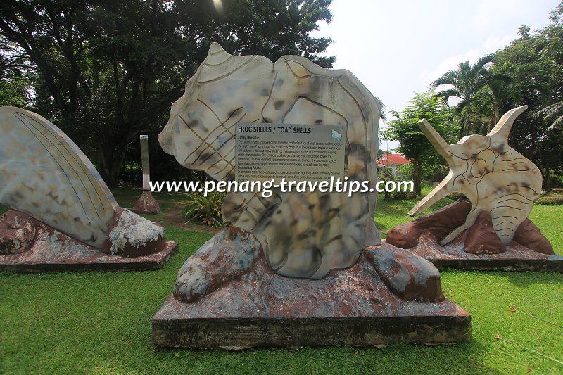 Toad Shell sculpture, Seashell Park