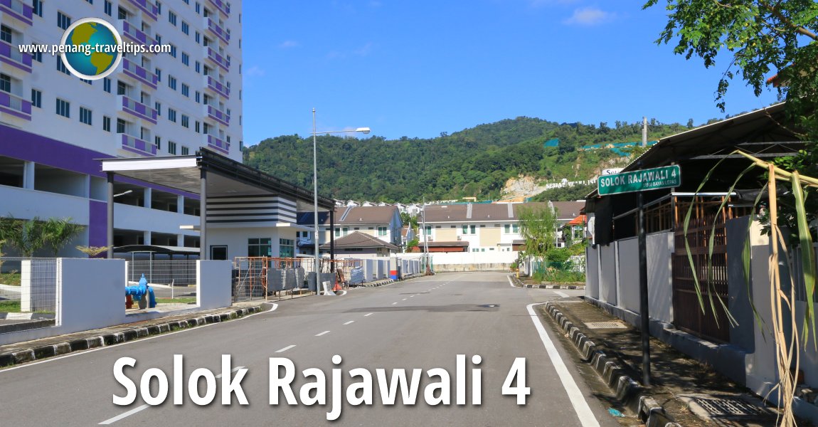 Solok Rajawali 4, Sungai Ara