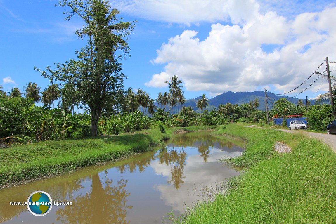 Sungai Burong scenery