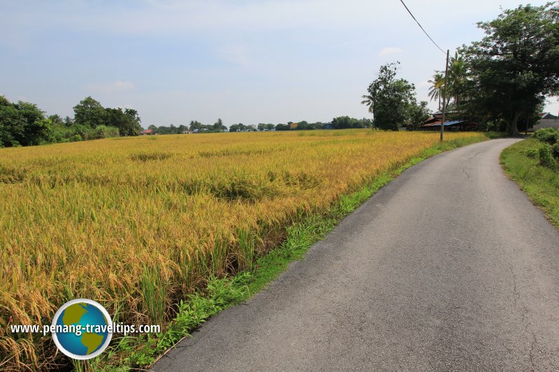 Sungai Dua, Seberang Perai