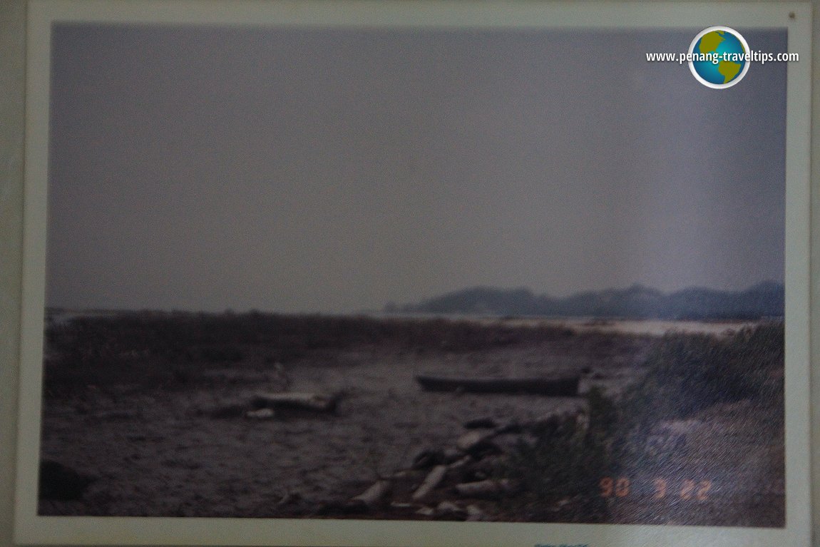 A sampan on the newly cleared swampland, with Batu Maung in the background