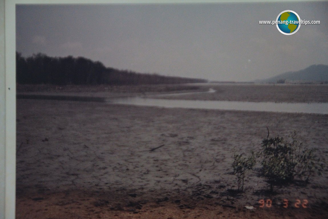 River through the cleared swampland, with Jerejak in the background