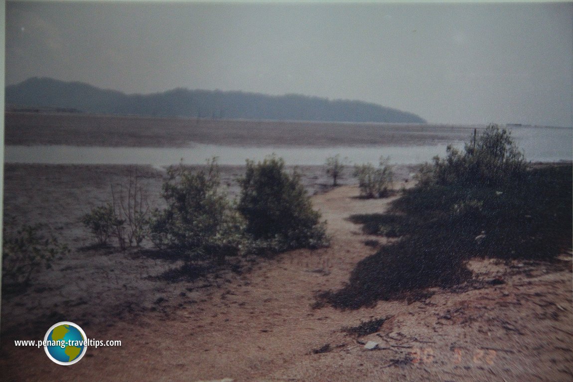 Remnants of the swamp in Batu Maung, with Pulau Jerejak in the background