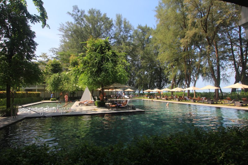 The swimming pool at Lone Pine Hotel