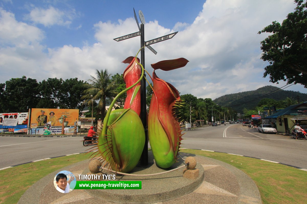 Teluk Bahang Monkey Cup Roundabout