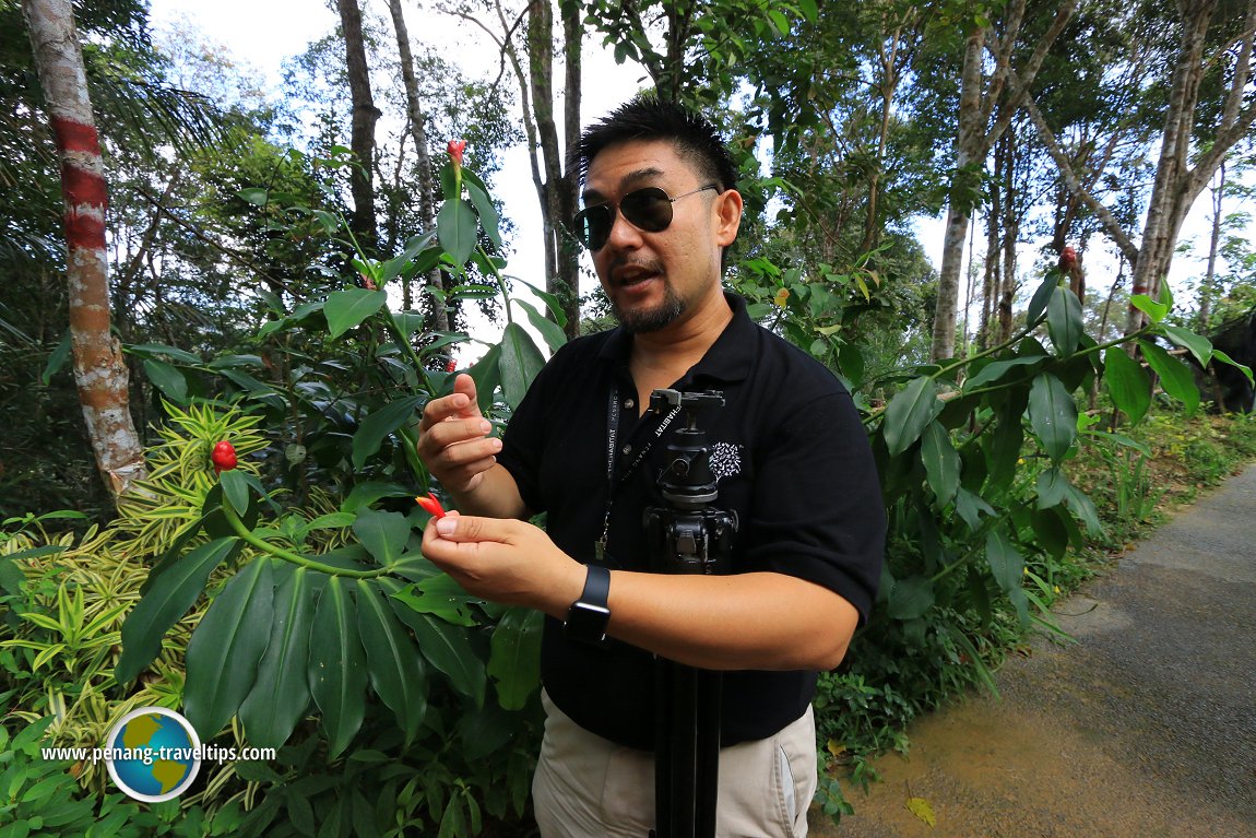 The Habitat Penang Hill