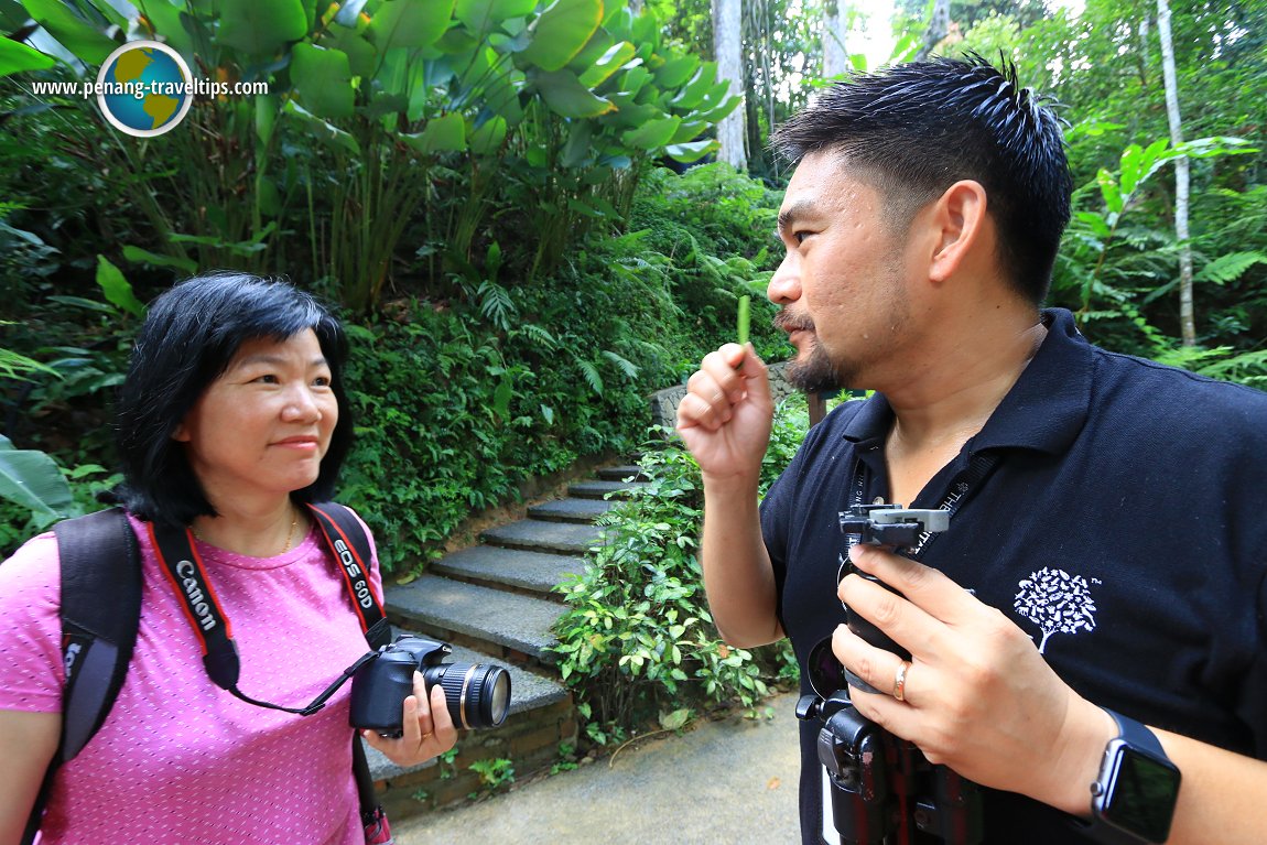 The Habitat Penang Hill