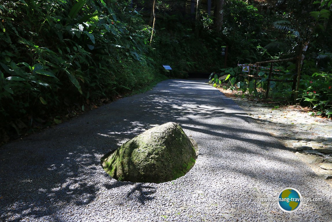 The Habitat Penang Hill