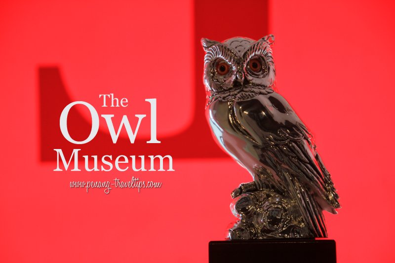 The Owl Museum