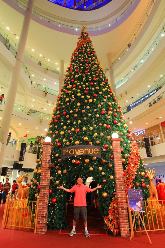 Tim with 1st Avenue's Christmas tree