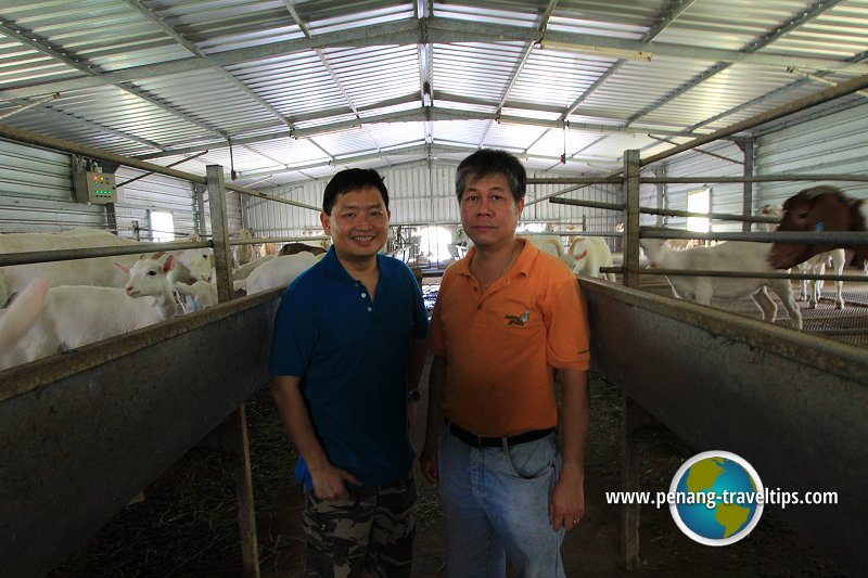 Timothy Tye with Ivan of Happy Goat Farm