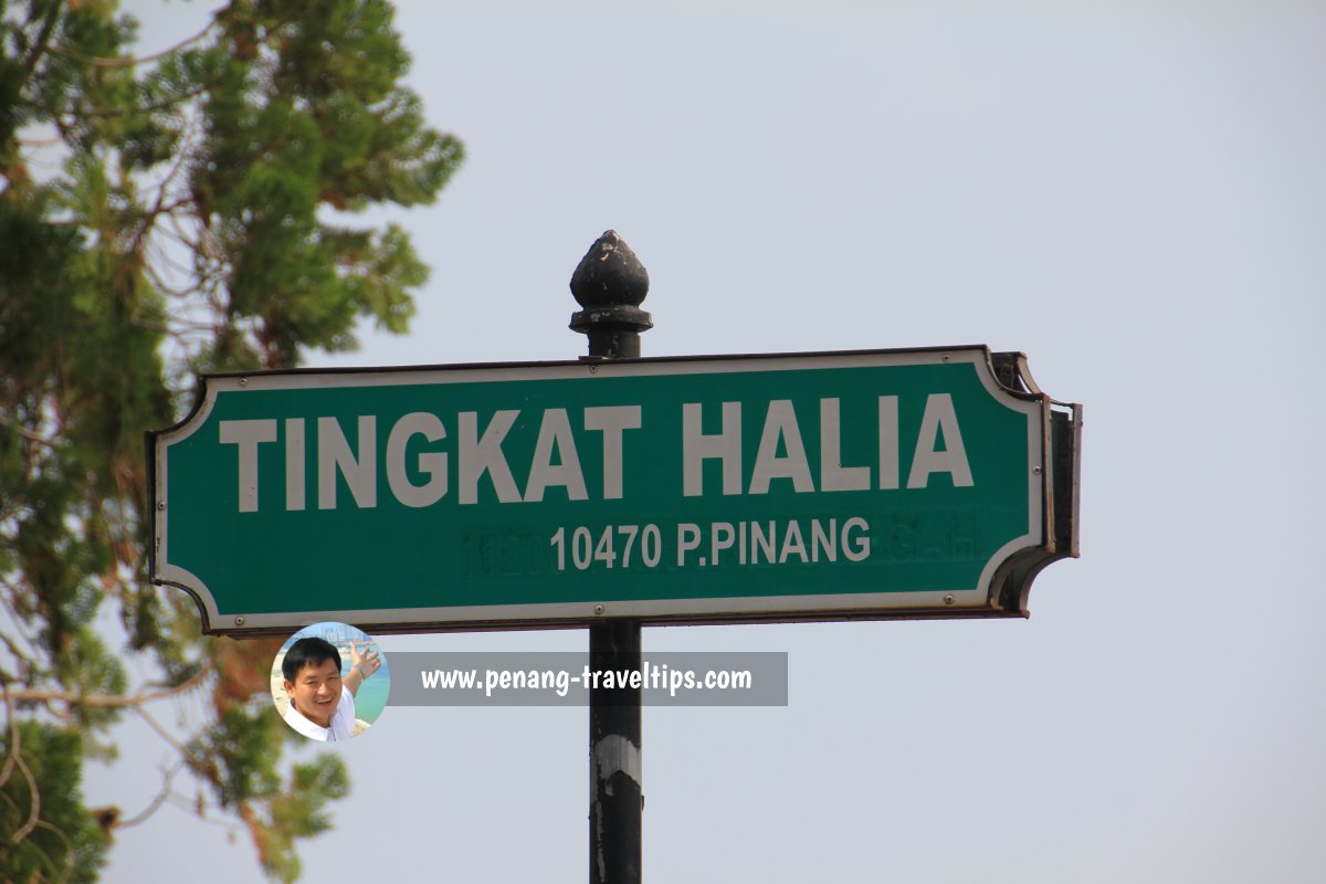 Tingkat Halia