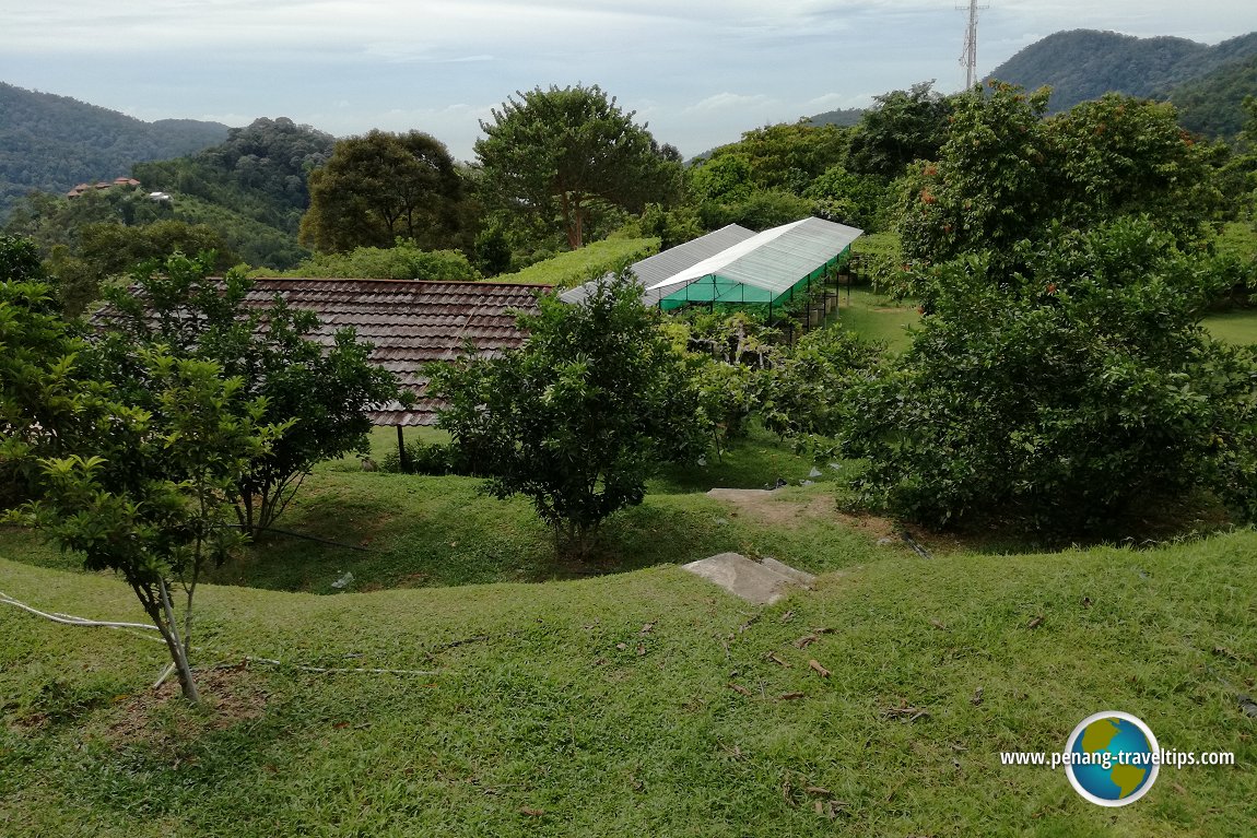 Tropical Fruit Farm Penang