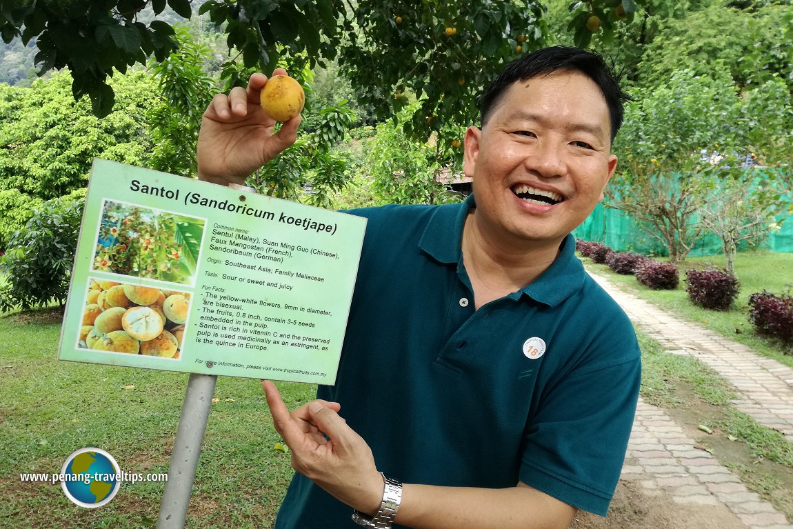 Tropical Fruit Farm Penang