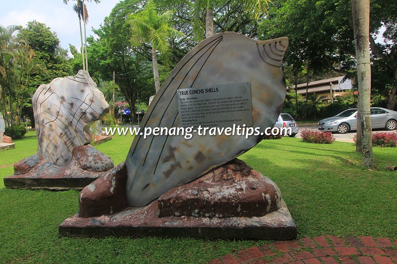 True Conch sculpture, Seashell Park