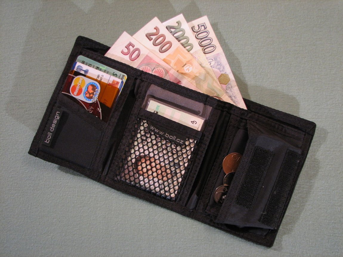 The Wallet